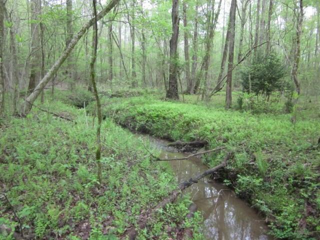 Bear Creek Road, Talking Rock, Georgia image 8