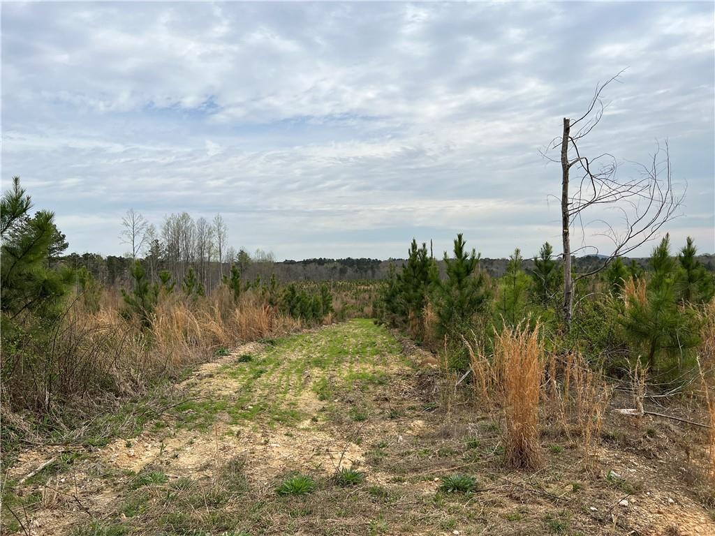 00 Jacksonville Road, Buchanan, Georgia image 1