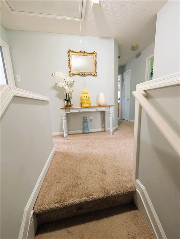 The Park at Kingsgate - Residential
