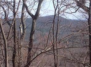 Photo 1 of 6 — 8112 Disharoon Drive, Big Canoe, GA 30143