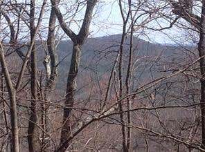 Vacant Land For Sale - 8112 Disharoon Drive<br/> Big Canoe, GA 30143