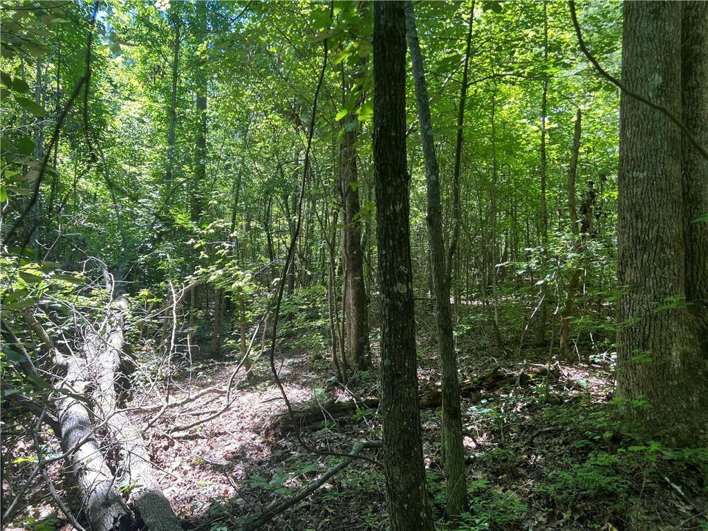 0 Fortner Road