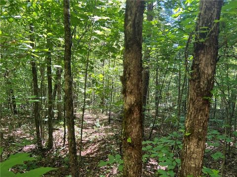 Vacant Land For Sale - Fortner Road<br/> Pickens County, Ball Ground, GA 30107