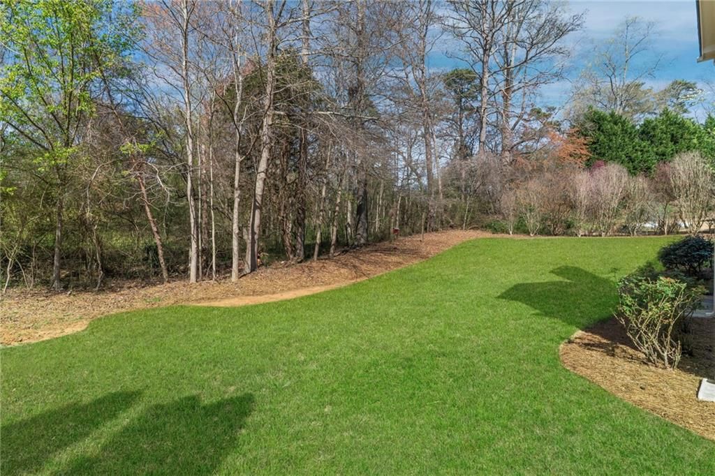 listing image 48
