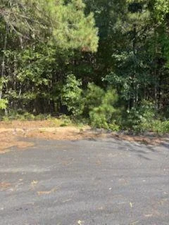 20 Ratliff Drive, Covington, GA, 30016