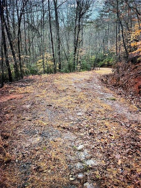 Vacant Land For Sale - 69 Gold Lake Drive<br/> Cleveland, GA 30528