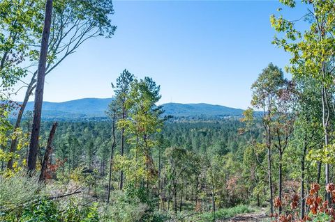 3875 HWY 140 NE Rydal GA 30171