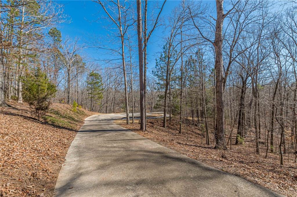 Chestatee Farms - Land