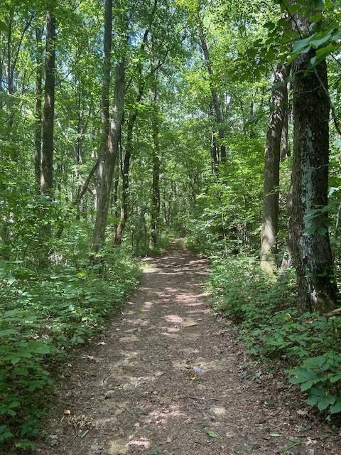 Burnt Mountain Road, Ellijay, Georgia image 4