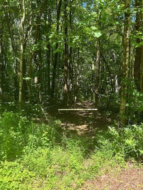 Burnt Mountain Road, Ellijay, Georgia image 1