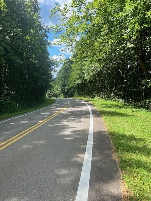 Burnt Mountain Road, Ellijay, Georgia image 5