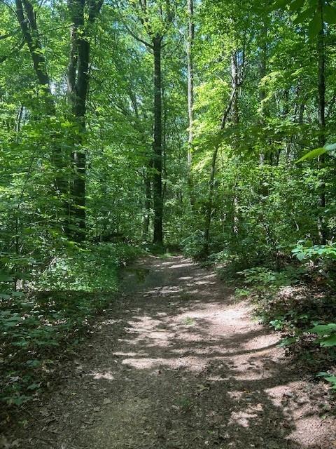 Burnt Mountain Road, Ellijay, Georgia image 3