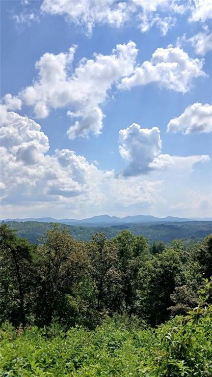 Vacant Land For Sale - LOT 23 Mountain Laurel Ridge<br/> Fannin County, Mineral Bluff, GA 30559
