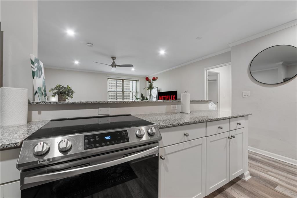 300 Peachtree Street NE 15J