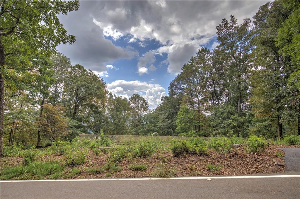 2291 Ridgeview Drive, Big Canoe, Georgia image 6