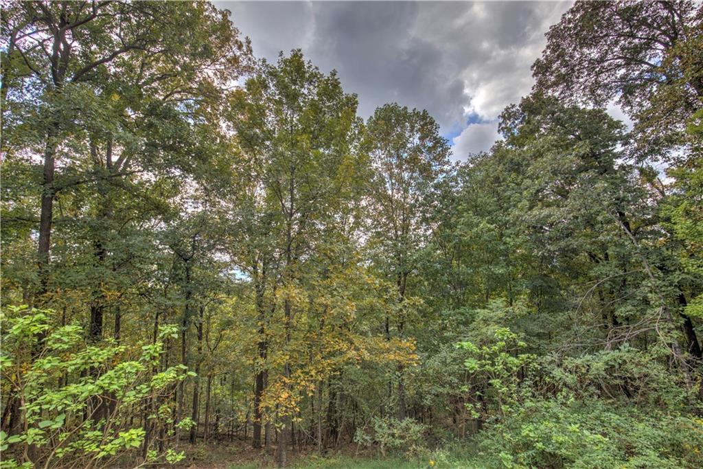 2291 Ridgeview Drive, Big Canoe, Georgia image 12