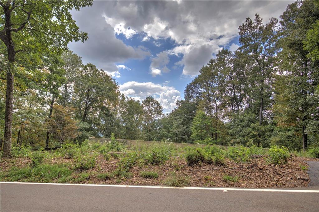 2291 Ridgeview Drive, Big Canoe, Georgia image 5