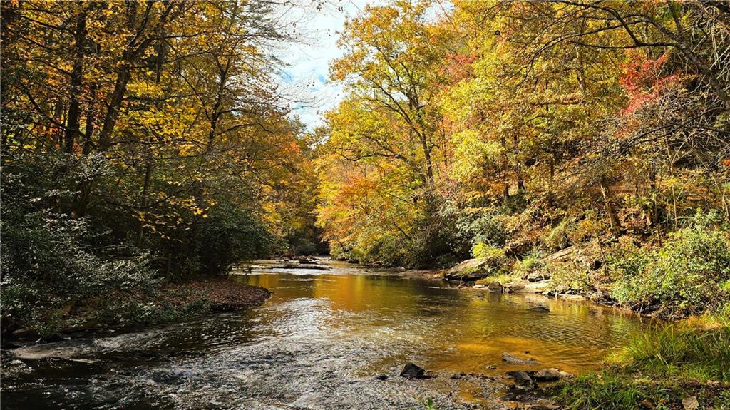 LOT 5 Gold Ridge Trail