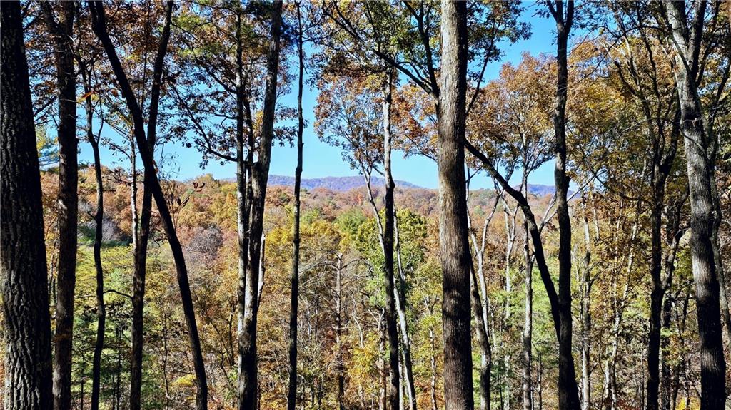 LOT 5 Gold Ridge Trail