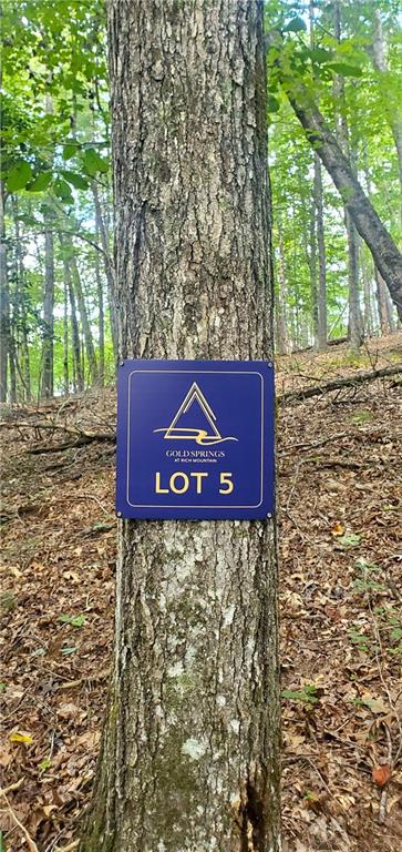 LOT 5 Gold Ridge Trail