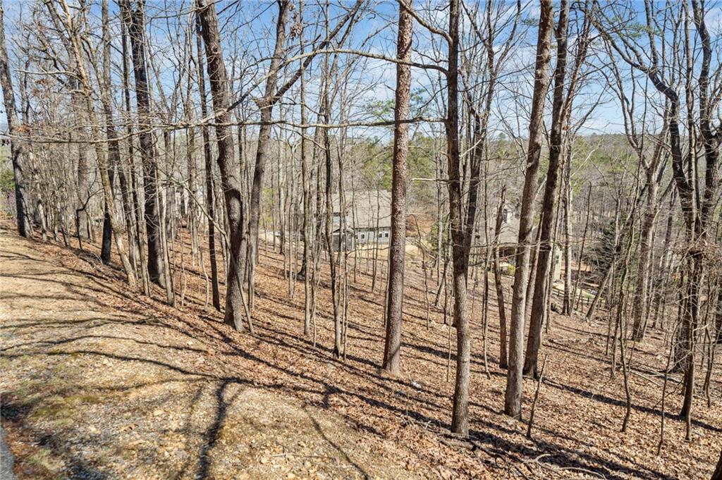 109 Grey Eagle Drive, Waleska, Georgia image 4
