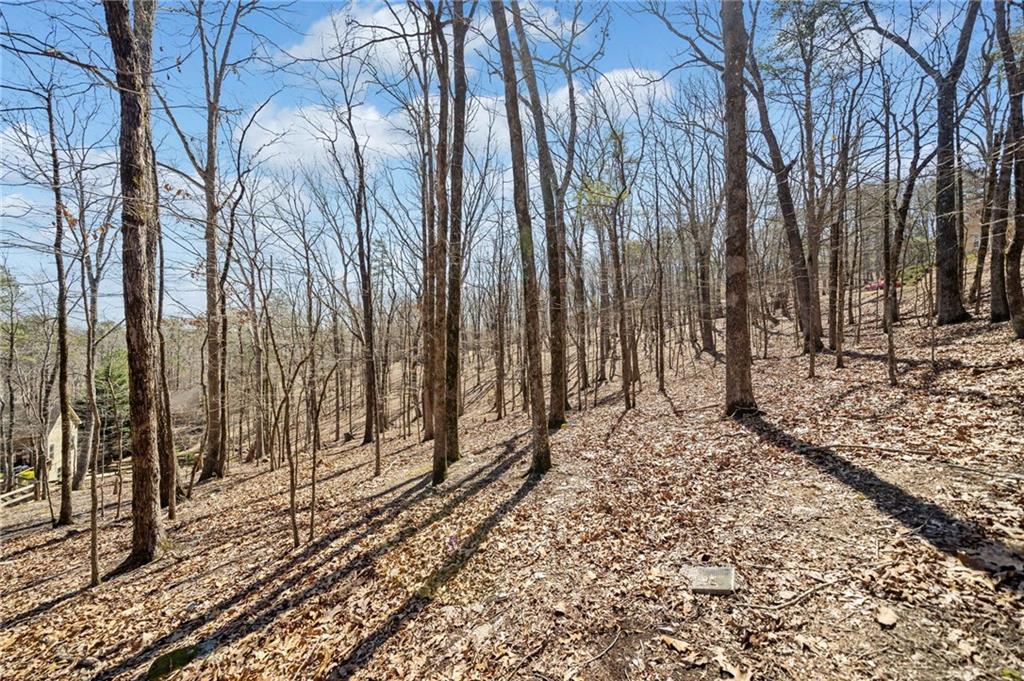 109 Grey Eagle Drive, Waleska, Georgia image 7
