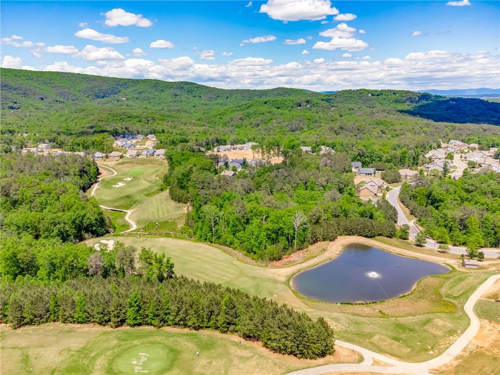 109 Grey Eagle Drive, Waleska, Georgia image 21