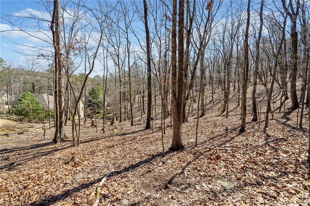 109 Grey Eagle Drive, Waleska, Georgia image 8