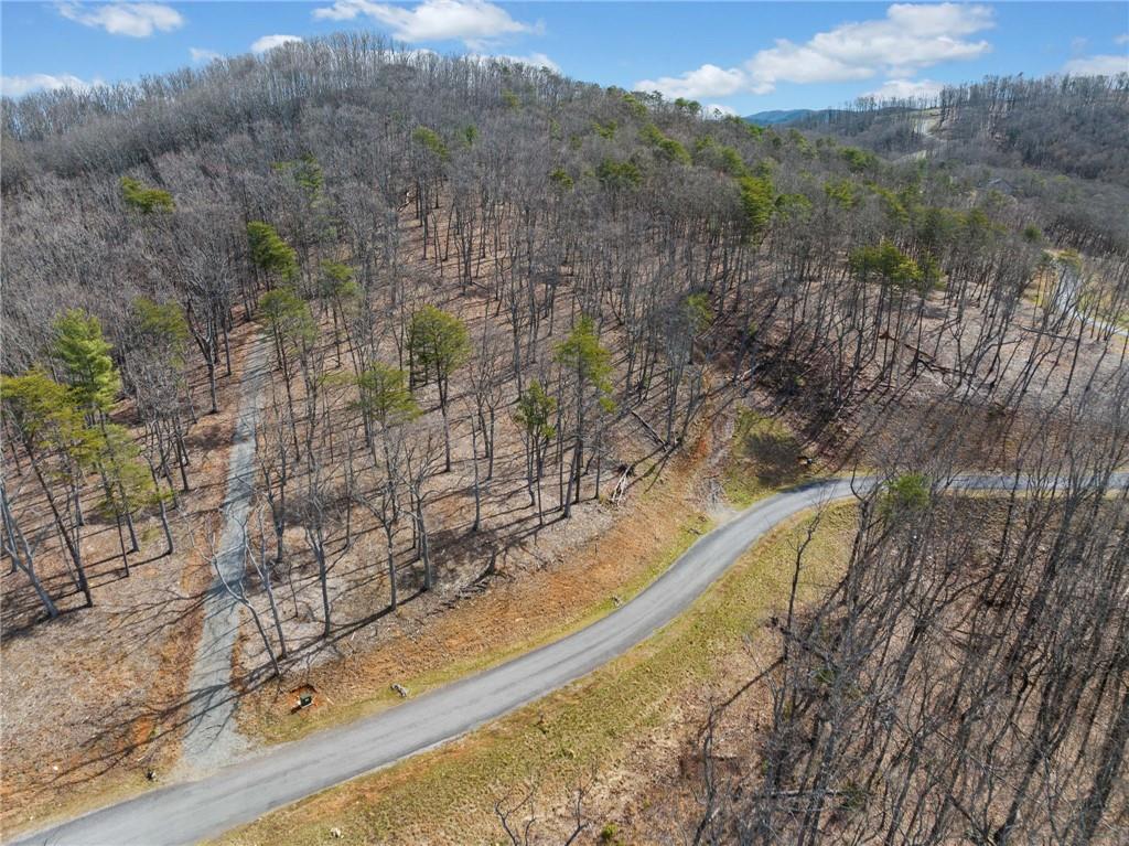 Lot 21 High Summit Drive, Talking Rock, Georgia image 26