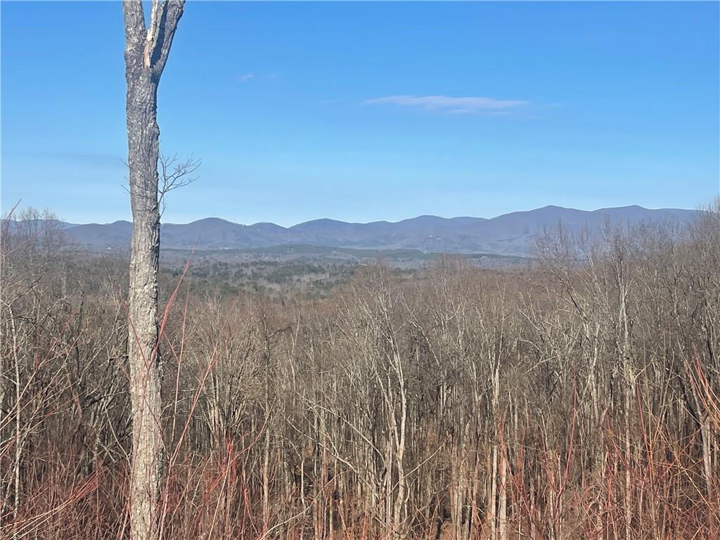 Lot 21 High Summit Drive, Talking Rock, Georgia image 3