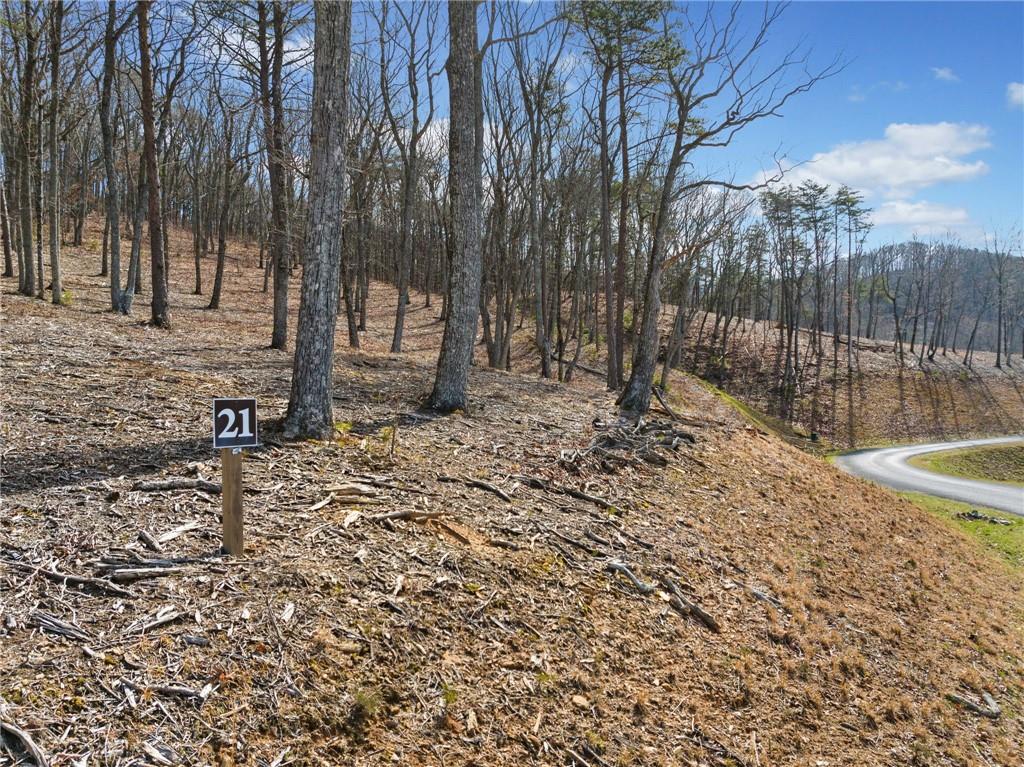 Lot 21 High Summit Drive, Talking Rock, Georgia image 24