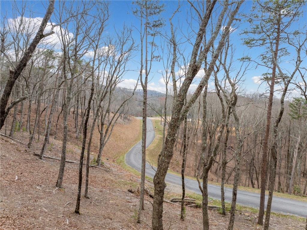 Lot 21 High Summit Drive, Talking Rock, Georgia image 38