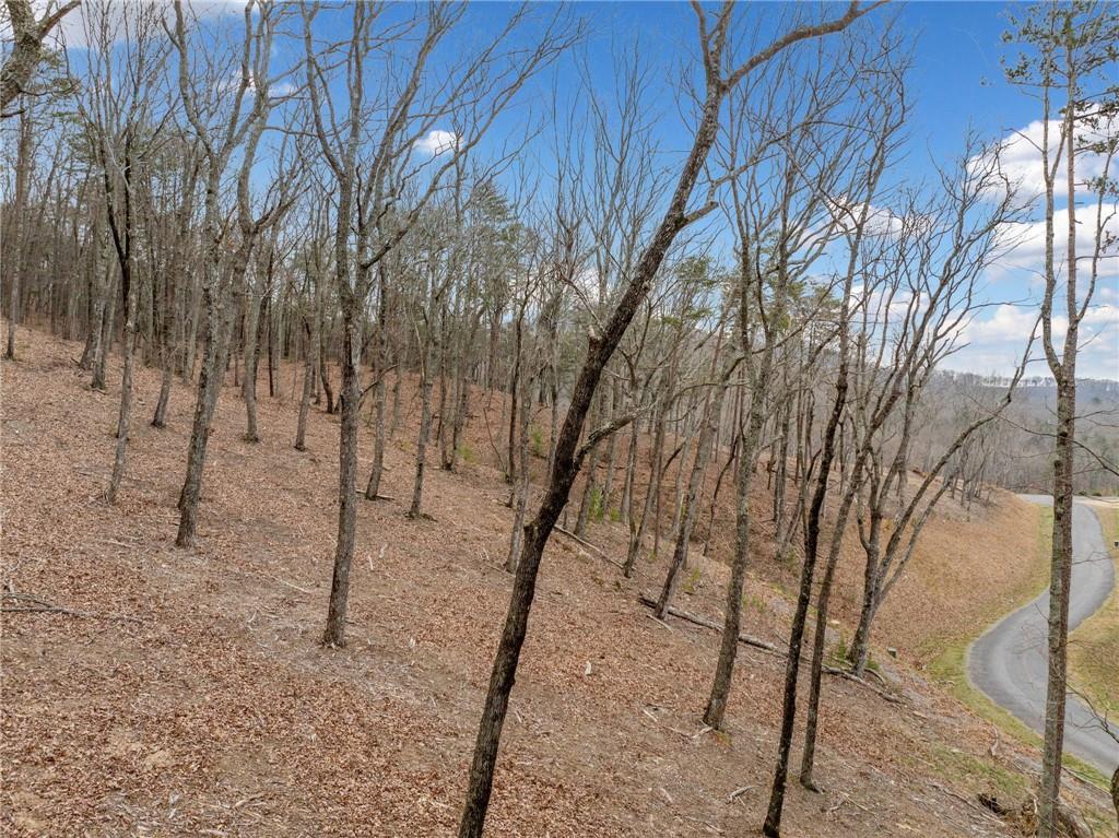 Lot 21 High Summit Drive, Talking Rock, Georgia image 36