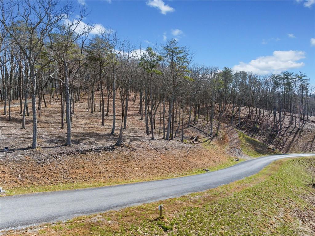 Lot 21 High Summit Drive, Talking Rock, Georgia image 9