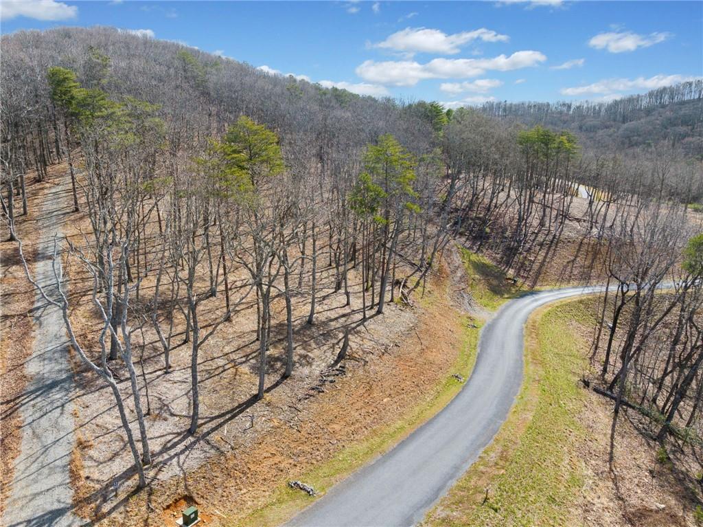 Lot 21 High Summit Drive, Talking Rock, Georgia image 33