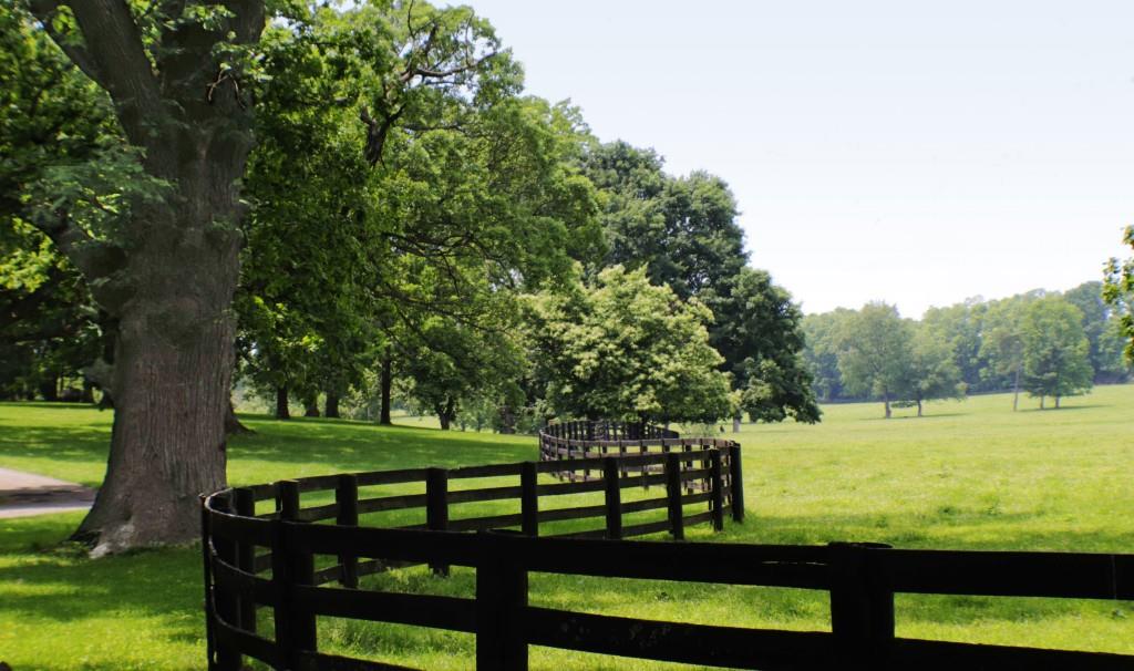 The Homestead At Milton - Residential