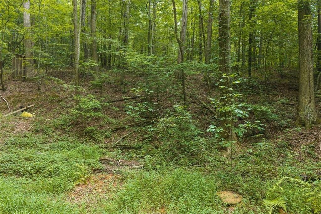 300 Sumac Lane
