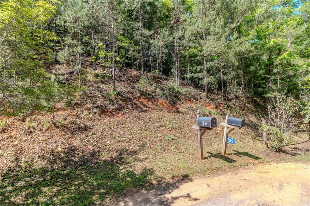 Lot 87 Valley Lake Trail, Mineral Bluff, Georgia image 5