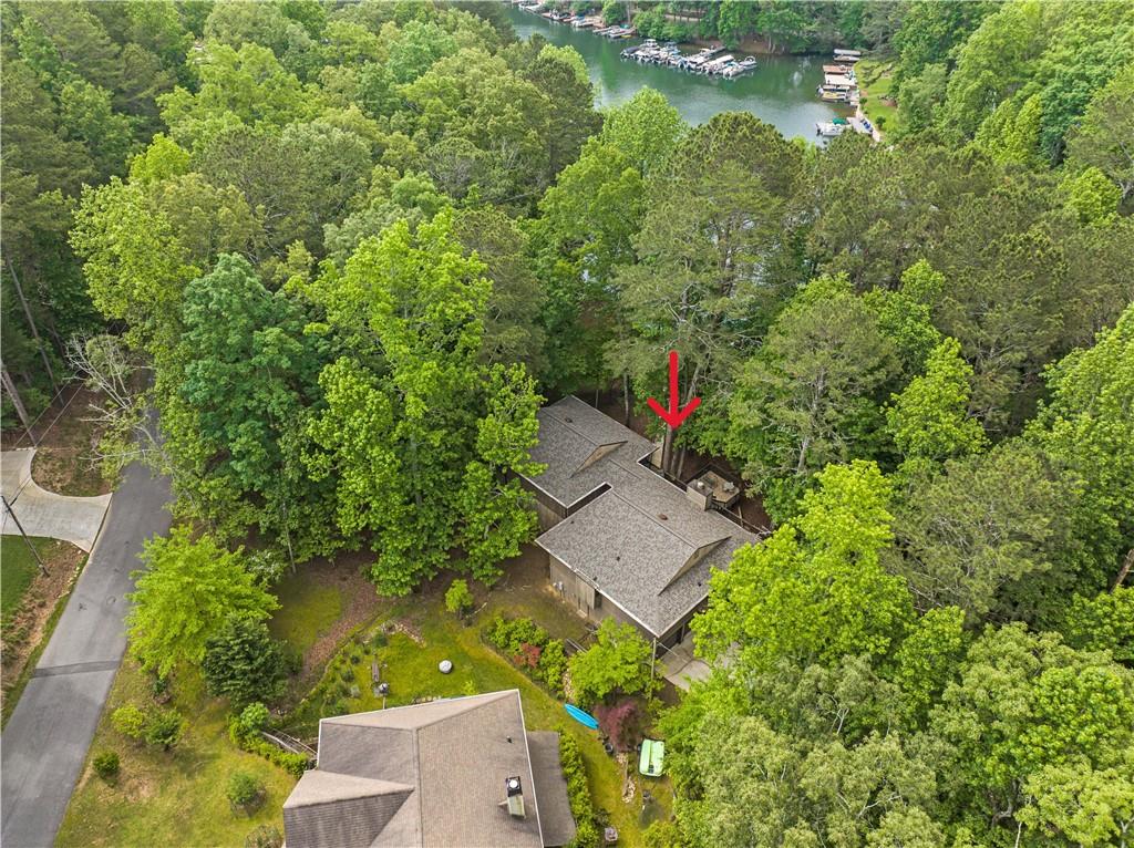 295 Lakewood Drive, Waleska, Georgia image 14