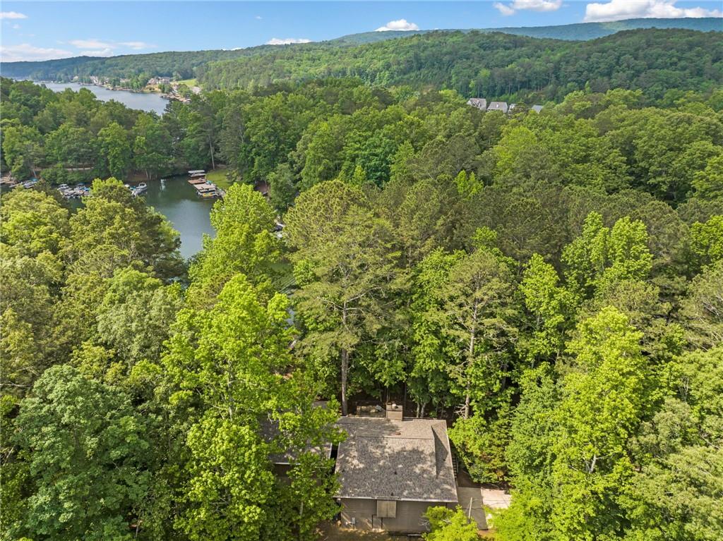 295 Lakewood Drive, Waleska, Georgia image 13