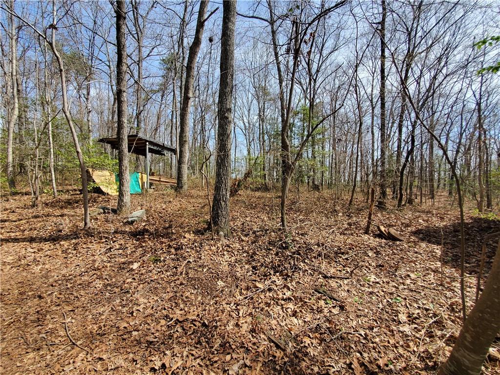 392 Beaver Ridge Road, Jasper, Georgia image 26