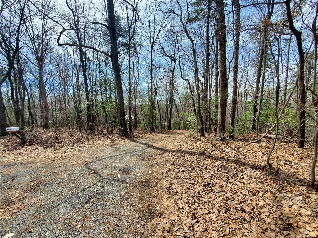 392 Beaver Ridge Road, Jasper, Georgia image 50