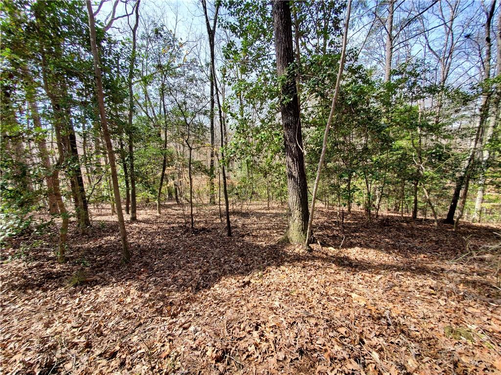 392 Beaver Ridge Road, Jasper, Georgia image 34