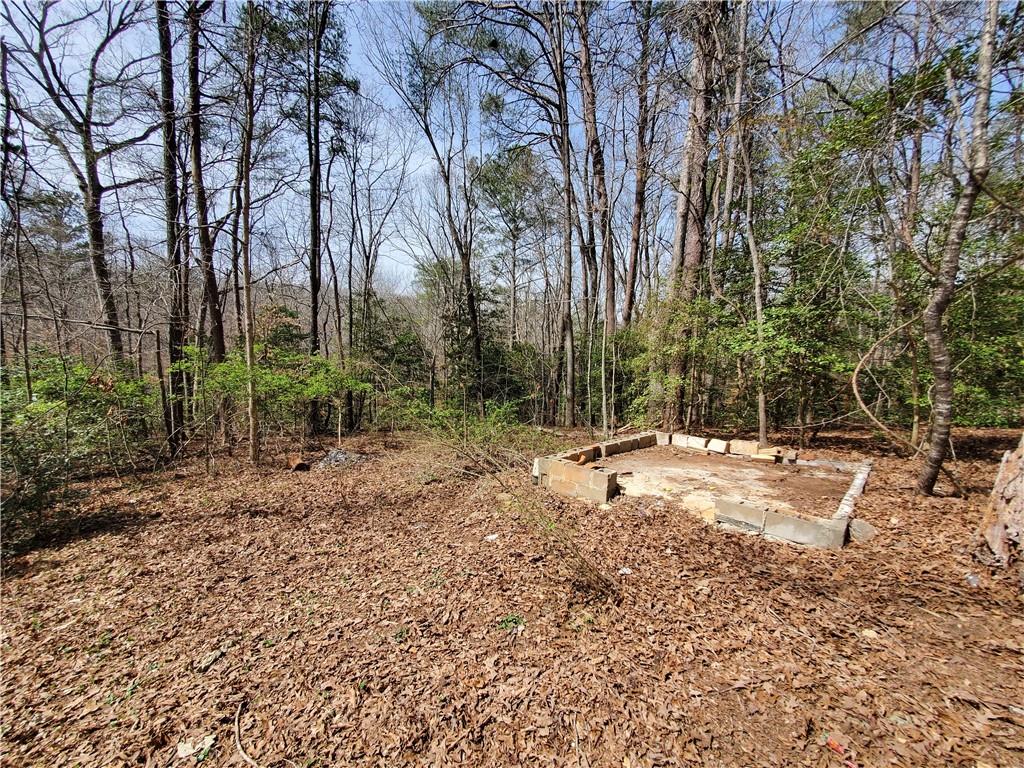 392 Beaver Ridge Road, Jasper, Georgia image 32