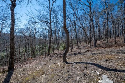 listing image 81