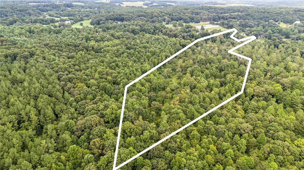 176 Whitetail Trail