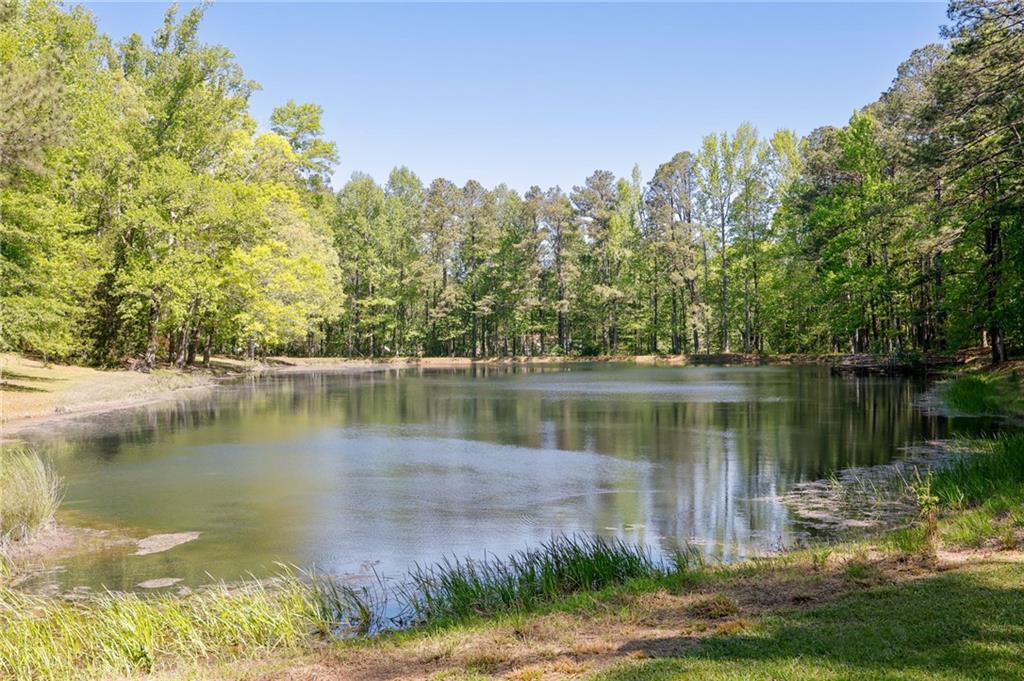 8277 Buchanan Highway