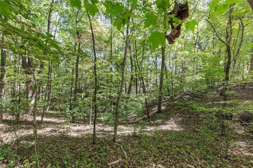 Apache Ridge Road, Jasper, Georgia image 3