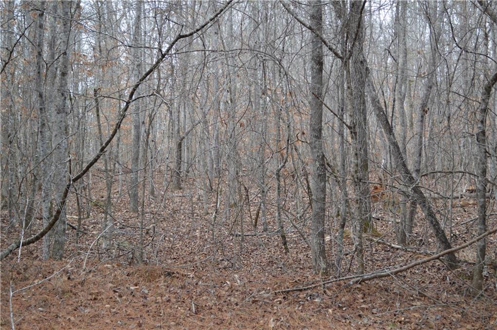 0 S Old Hwy 5 Road S