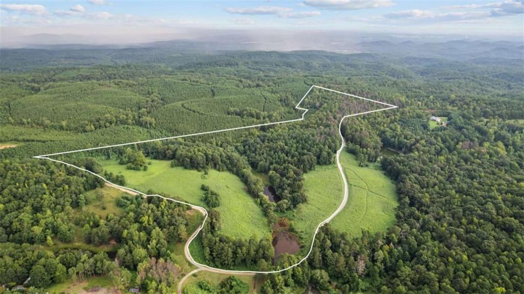 Picturesque 40 acres of land with a lake waiting for your dream home to be built. Underground power is in place, a 400' well has been drilled, 16 x 16 concrete pad poured for the well house to be placed, camper hook up established, and high speed spectrum internet is now available. Most recent survey was completed August 2019.